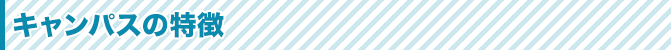 キャンパスの特徴